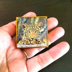 Chantecaille luminescent eye shade in Leopard (wild bronze)